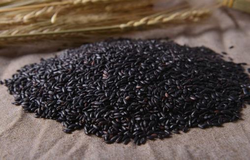 褪色的黑米是人工染色吗