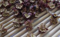 小诀窍帮你防米面生虫