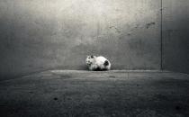 总是忘事是一种心理自我保护