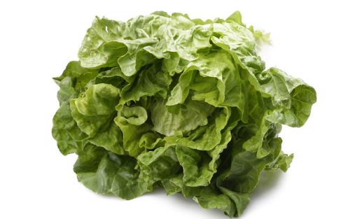 温水浸泡叶菜赶走硝酸盐