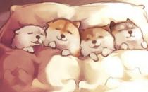 四招帮你找回好睡眠