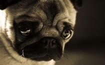 焦虑症的最佳治疗方法