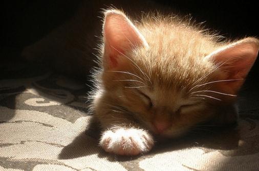 心理疗法帮你克服强迫症