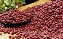夏季赤小豆养生食谱