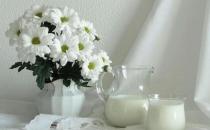 什么食物能够预防骨质疏松