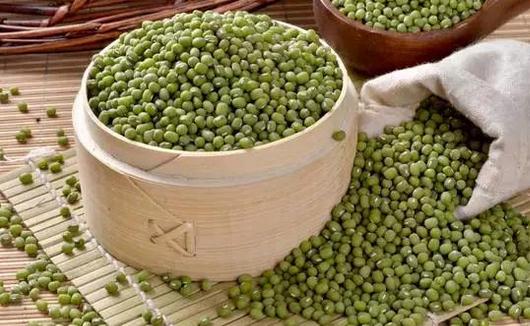 秋季养生食谱:绿豆红枣粥