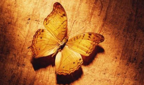 如何与多疑的人相处