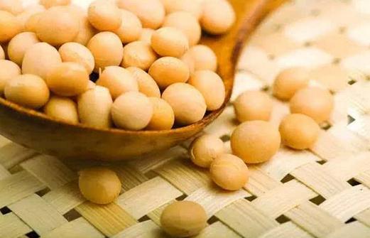 常吃黄豆有助于降低血压