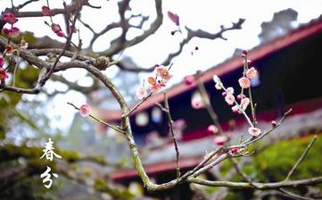 【春分节气】春分是几月几日_春分吃什么_春分养生_春分是什么意思