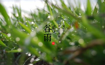 【谷雨节气】谷雨是几月几日_谷雨吃什么_谷雨养生_谷雨是什么意思