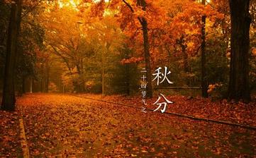 【秋分节气】秋分是几月几日_秋分吃什么_秋分养生_秋分是什么意思