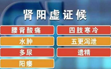 【肾阳虚】肾阳虚的表现_肾阳虚吃什么_肾阳虚的原因_肾阳虚的症状