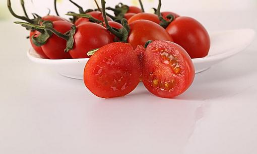 盆栽小西红柿的方法