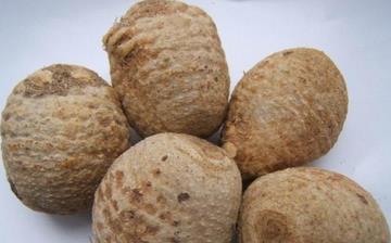 【泽泻】泽泻的功效与作用_泽泻的使用禁忌_泽泻的副作用 【泽泻】泽泻的功效与作用_泽泻的使用禁忌_泽泻的副作用