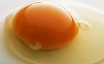 【鸡蛋黄】蛋黄的营养价值及功效与作用_吃蛋黄的好处和禁忌