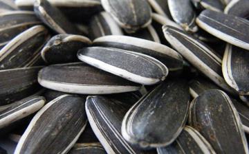 【葵花籽】葵花籽的功效与作用_葵花籽上火吗_葵花籽怎么吃_葵花籽是什么