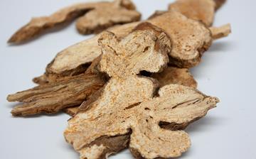 【白术】中药材白术的功效与作用_白术祛斑具体方法_白术的副作用 【白术】中药材白术的功效与作用_白术祛斑具体方法_白术的副作用