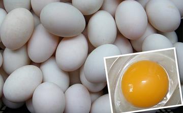 【鸭蛋】鸭蛋怎么吃最有营养_咸鸭蛋的做法_鸭蛋的营养价值与功效