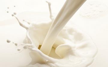 【牛奶】牛奶的功效与作用_牛奶什么时候喝最好_牛奶的营养价值