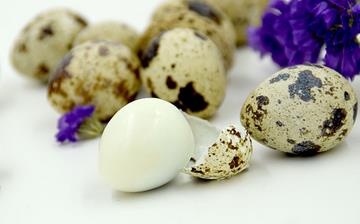 【鹌鹑蛋】鹌鹑蛋的做法_鹌鹑蛋的营养价值_鹌鹑蛋的功效与作用