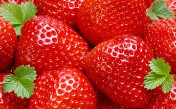 【草莓】草莓的功效与作用_草莓上火吗_草莓怎么吃_孕妇可以吃草莓吗