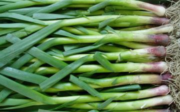 【蒜苗】蒜苗的营养价值_蒜苗怎么做好吃_蒜苗的做法大全_孕妇能吃蒜苗吗 【蒜苗】蒜苗的营养价值_蒜苗怎么做好吃_蒜苗的做法大全_孕妇能吃蒜苗吗