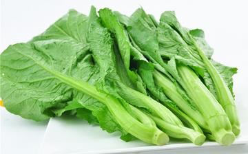 【芥菜】芥菜的功效与作用营养价值_芥菜怎么做好吃_芥菜的做法大全 【芥菜】芥菜的功效与作用营养价值_芥菜怎么做好吃_芥菜的做法大全