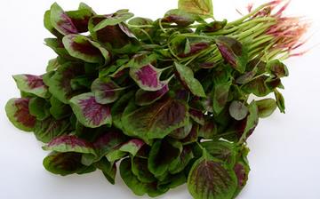 【苋菜】苋菜的功效与作用营养价值_苋菜怎么做好吃_苋菜的做法大全