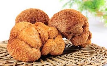 【猴头菇】猴头菇的营养价值_猴头菇怎么做好吃_猴头菇的做法大全