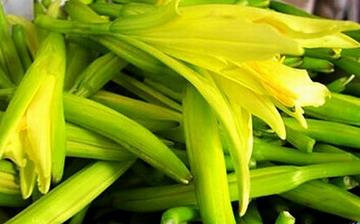 【黄花菜】黄花菜的营养价值_黄花菜怎么做好吃_黄花菜的做法大全