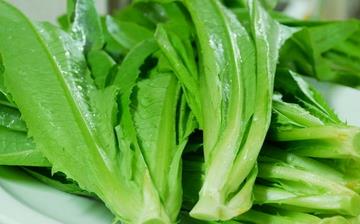 【油麦菜】油麦菜的营养价值_油麦菜怎么做好吃_油麦菜的做法大全