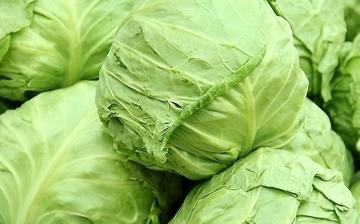 【圆白菜】圆白菜的营养价值_圆白菜怎么做好吃_圆白菜的做法大全