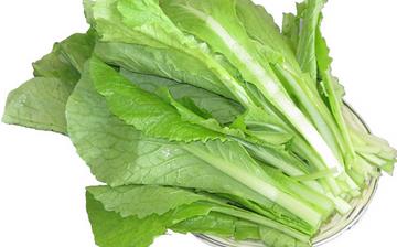 【小白菜】小白菜的营养价值_小白菜怎么做好吃_小白菜的做法大全