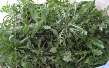 【荠菜】荠菜的功效与作用营养价值_荠菜怎么做好吃_荠菜的做法大全