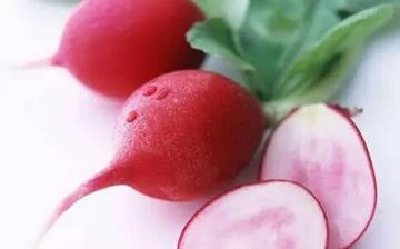 【水萝卜】水萝卜的营养价值_水萝卜怎么做好吃_水萝卜的做法大全