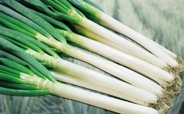 【大葱】大葱的功效与作用营养价值_大葱怎么做好吃_大葱的做法大全 【大葱】大葱的功效与作用营养价值_大葱怎么做好吃_大葱的做法大全