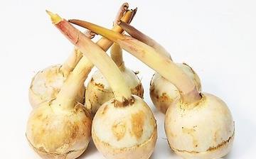 【慈菇】慈菇的功效与作用营养价值_慈菇怎么做好吃_慈菇的做法大全