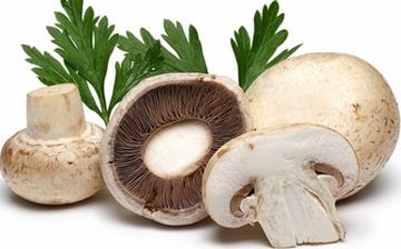 【双孢蘑菇】双孢蘑菇的营养价值_双孢蘑菇怎么做好吃_双孢蘑菇的做法大全