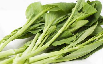 【菜苔】菜苔的功效与作用营养价值_菜苔怎么做好吃_菜苔的做法大全