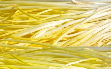 【蒜黄】蒜黄的营养价值_蒜黄怎么做好吃_蒜黄的做法大全