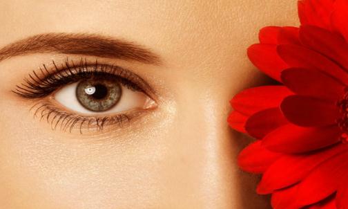 黄帝内经五脏养生之道