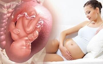 【胎位不正】孕妇胎位不正怎么办_胎位不正能顺产吗_胎位不正临床表现
