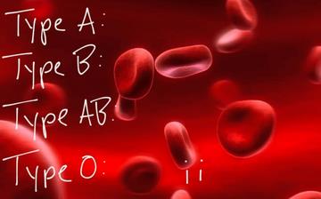 【血型】A型血_B型血_AB型血_O型血_血型测量_血型常识