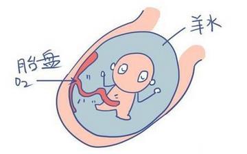 【羊水】羊水破了是什么症状_羊水破了怎么办_羊水穿刺是怎么回事_羊水穿刺检查 【羊水】羊水破了是什么症状_羊水破了怎么办_羊水穿刺是怎么回事_羊水穿刺检查