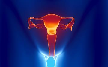 【不孕】卵巢性不孕_输卵管不孕_女性不孕_宫寒不孕_不孕检查什么