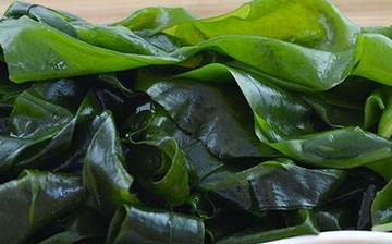 【海白菜】海白菜的营养价值_海白菜怎么做好吃_海白菜的做法大全