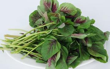【红苋菜】红苋菜的营养价值_红苋菜怎么做好吃_红苋菜的做法大全 【红苋菜】红苋菜的营养价值_红苋菜怎么做好吃_红苋菜的做法大全