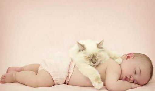 如何给宝宝转奶？