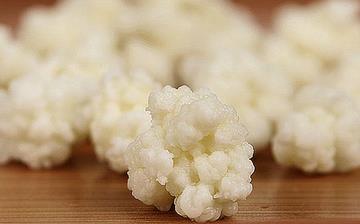 【雪莲菌】雪莲菌的营养价值_雪莲菌的功效和作用_什么牌子的雪莲菌好 【雪莲菌】雪莲菌的营养价值_雪莲菌的功效和作用_什么牌子的雪莲菌好