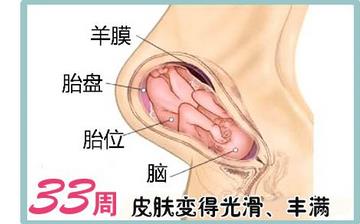 【怀孕33周】怀孕33周发育指标_怀孕33周胎儿变化_妈妈状态_怀孕33周注意事项 【怀孕33周】怀孕33周发育指标_怀孕33周胎儿变化_妈妈状态_怀孕33周注意事项